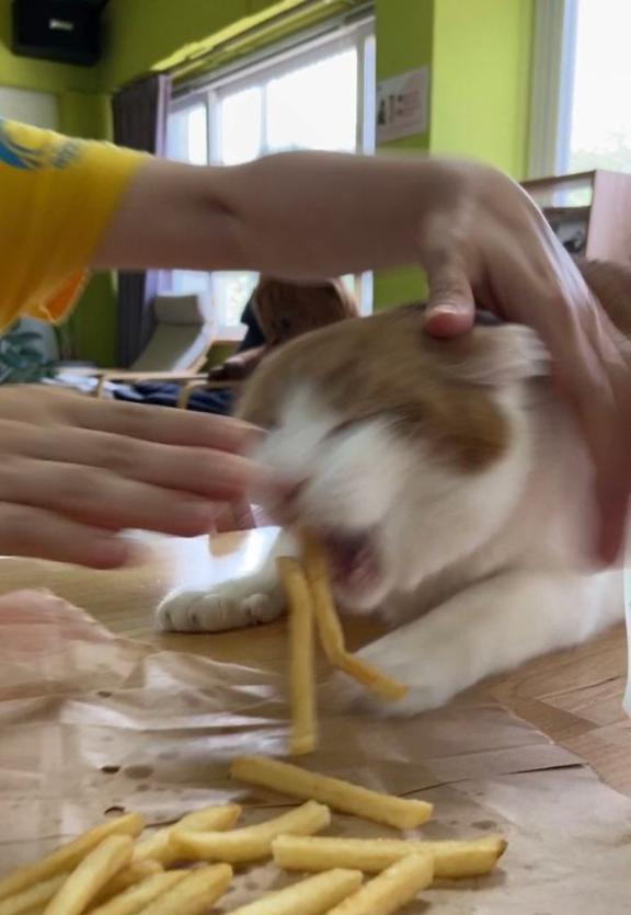 [お題]from:columbooさん