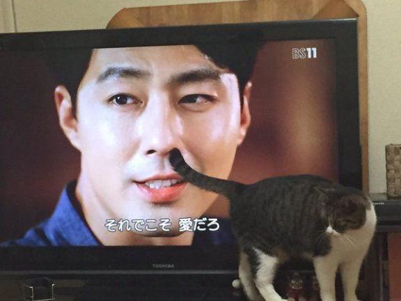 [お題]from:イブが最高潮じゃね？さん