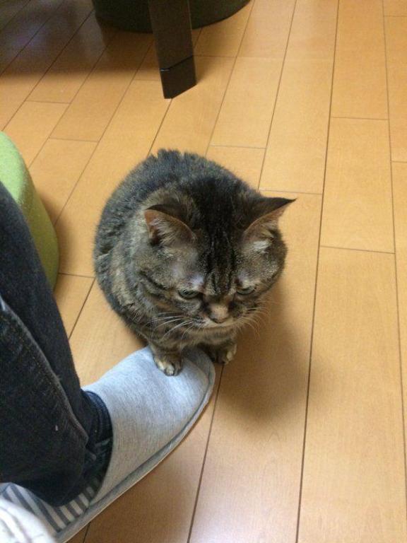 [お題]from:何年も食べてないやさん