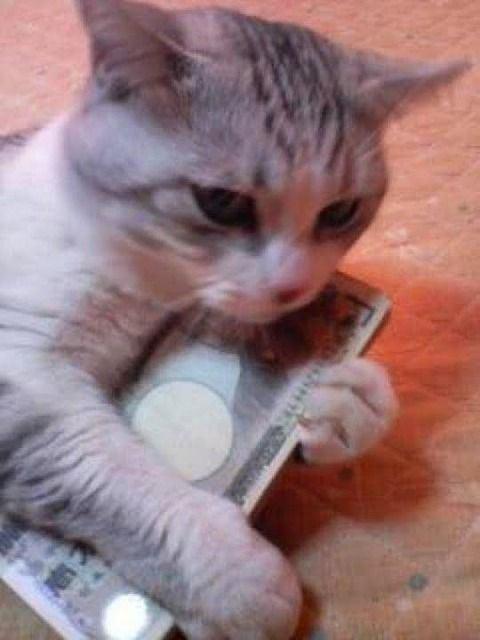 [お題]from:あすけんさん