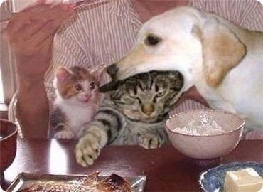 [お題]from:さとるん✨さん