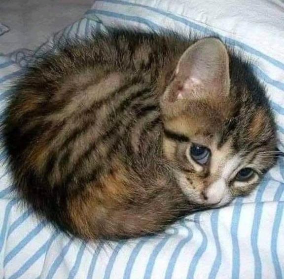 [お題]from:いるんじゃね？さん