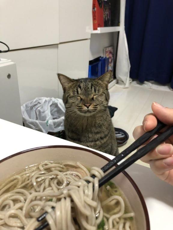 [お題]from:ミルクレープ！さん