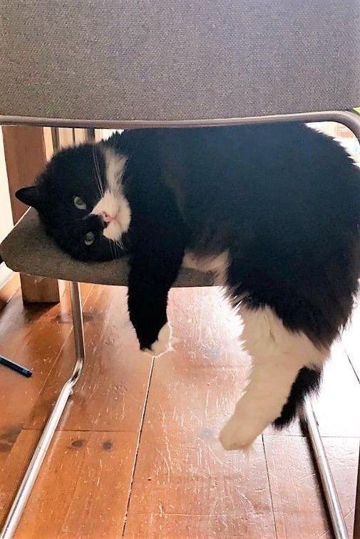 [お題]from:かんたさん