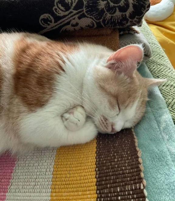 [お題]from:二択だよ♪さん