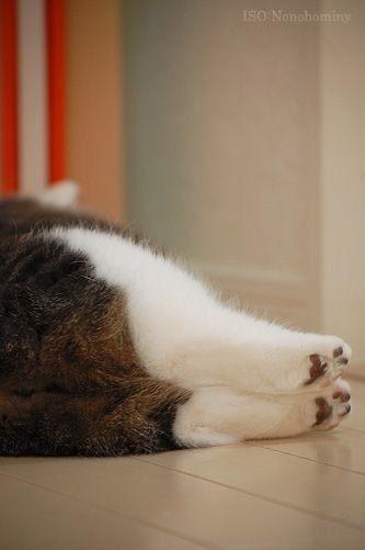 [お題]from:マツキヨさん