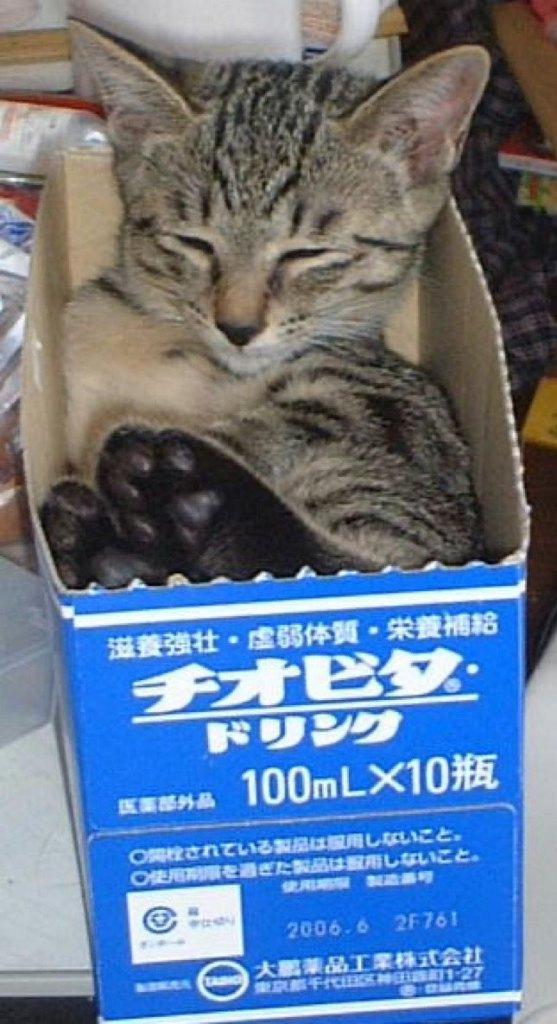 [お題]from:ナツメロばっかさん