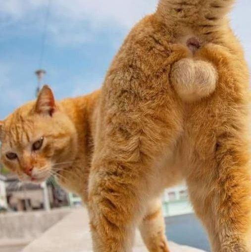 [お題]from:かわいすぎ💗さん