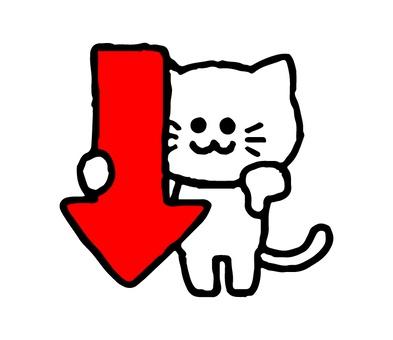 🔥2025年ラストの特大イベント🔥