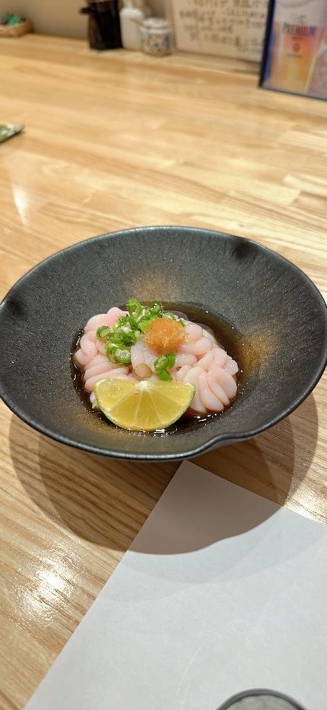 🩵白子うめがったです🩵