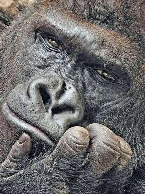 休みます🙇♀️