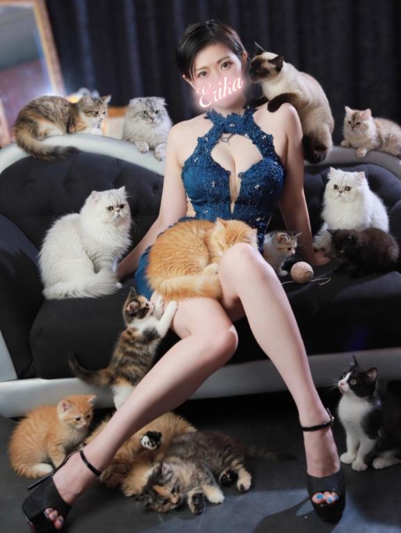 🩵猫まみれ🩵