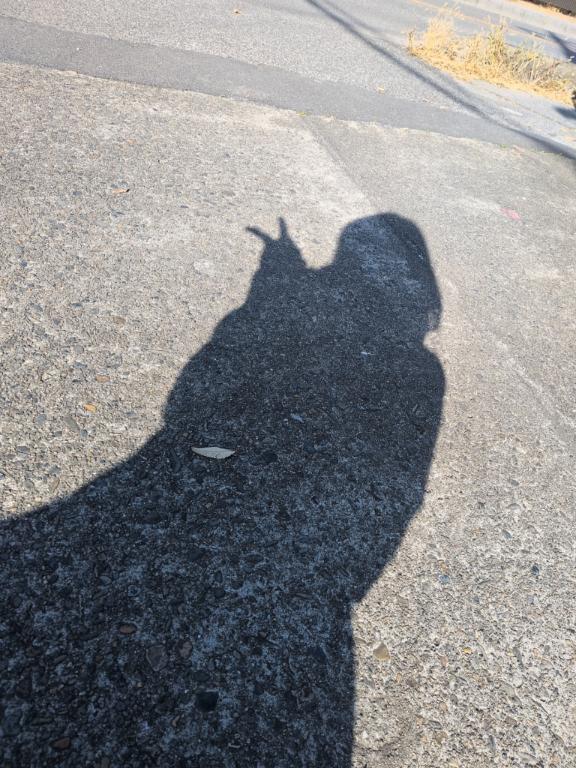 うぉーきんぐ👣⸒⸒