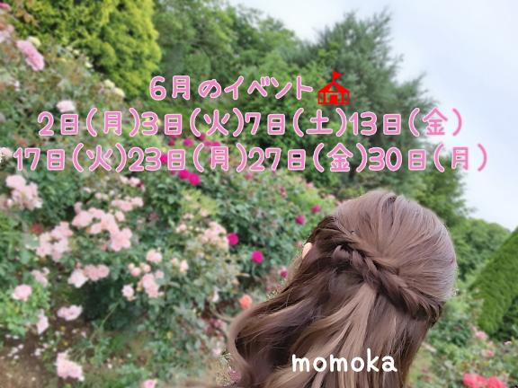 6月はこれ！🎪