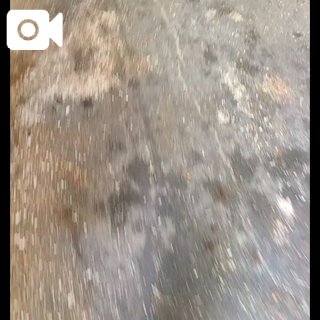 動画❇️今日何してた？