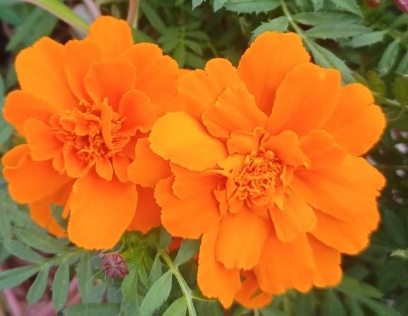 おはようございます☺️✨✨