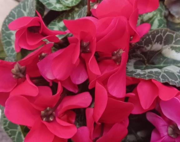 おはようございます☺️✨✨