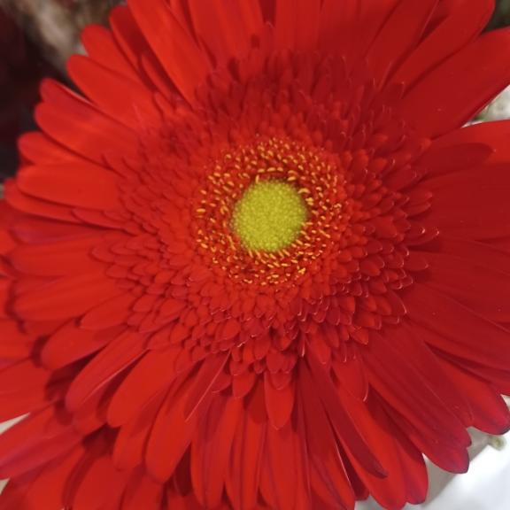 おはようございます☺️✨✨