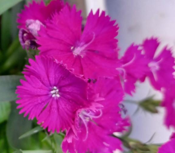 おはようございます☺️✨✨