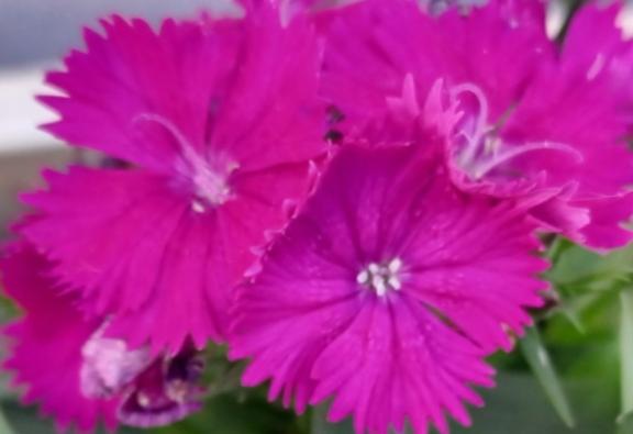 おはようございます☺️✨✨