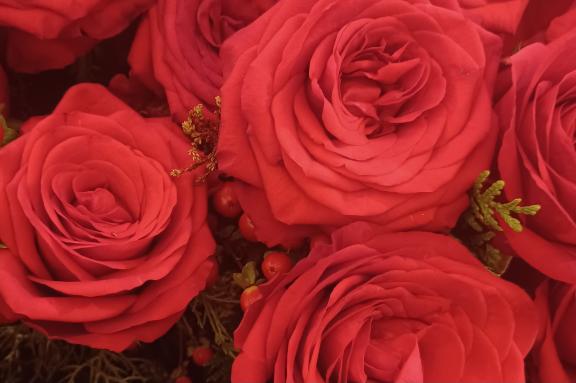 おはようございます☺️✨✨