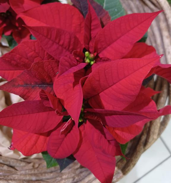 おはようございます☺️✨✨