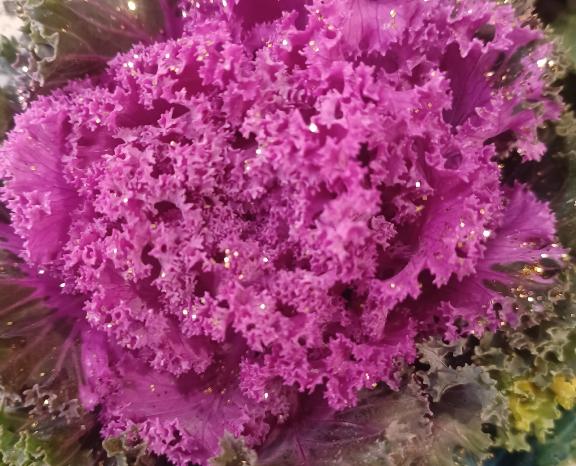 おはようございます☺️✨✨