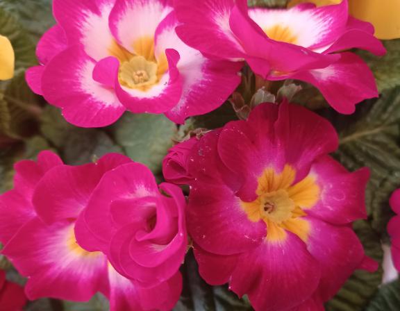 おはようございます☺️✨✨