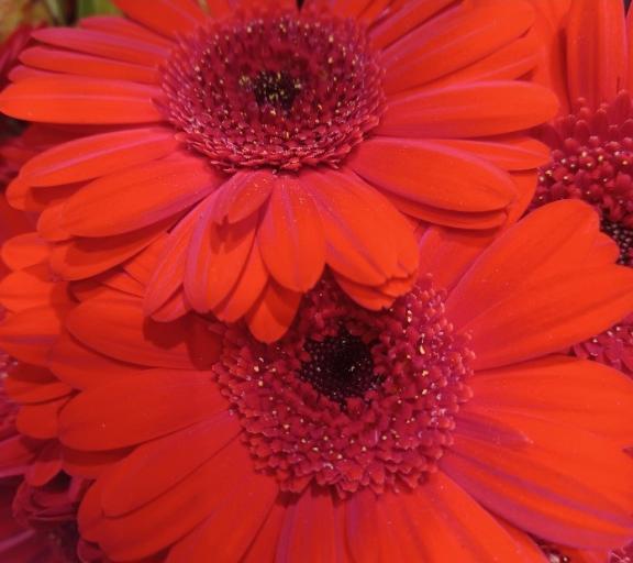 おはようございます☺️✨✨