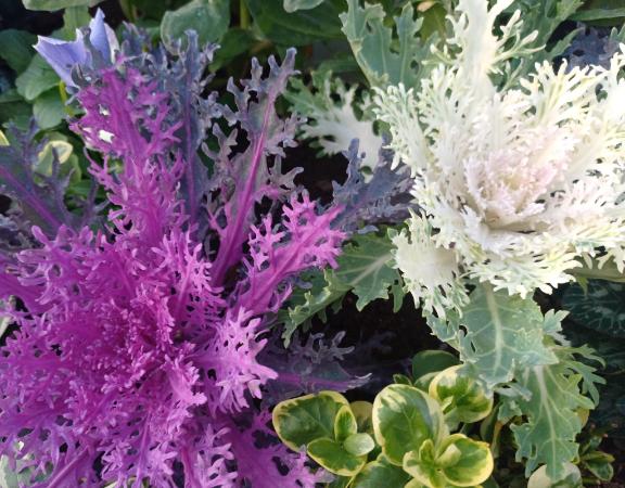 おはようございます☺️✨✨