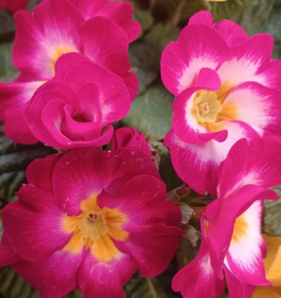 おはようございます☺️✨✨