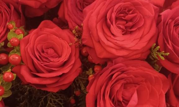 おはようございます☺️✨✨