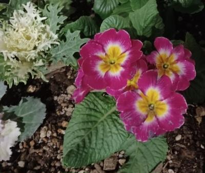 おはようございます☺️✨✨