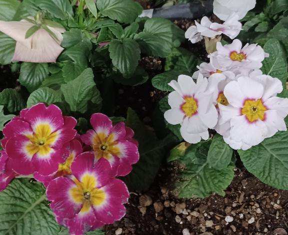 おはようございます☺️✨✨