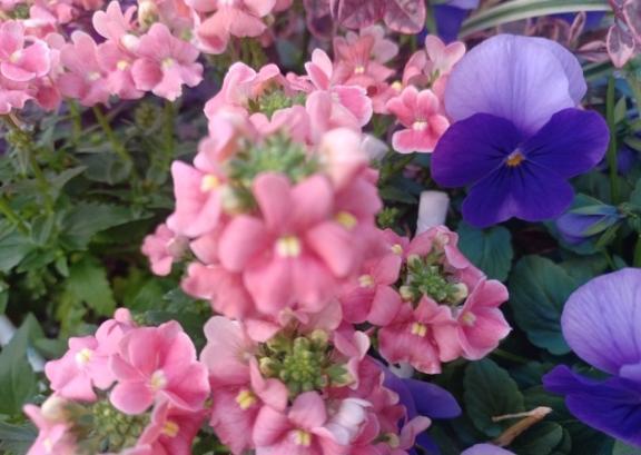 おはようございます☺️✨✨