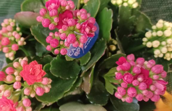 おはようございます☺️✨✨