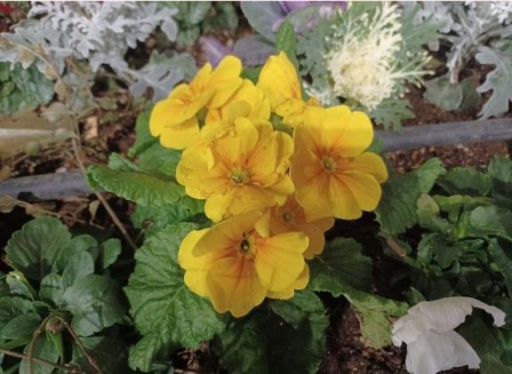 おはようございます☺️✨✨