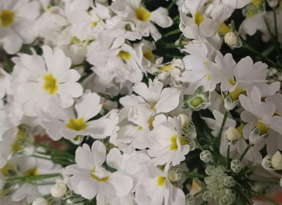 おはようございます☺️✨✨