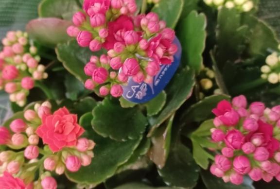 おはようございます☺️✨✨