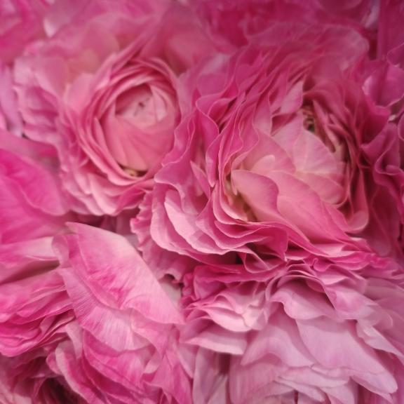 おはようございます☺️✨✨