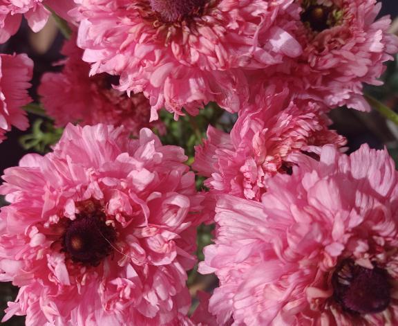 おはようございます☺️✨✨