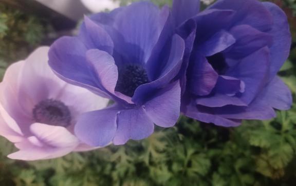 おはようございます☺️✨✨