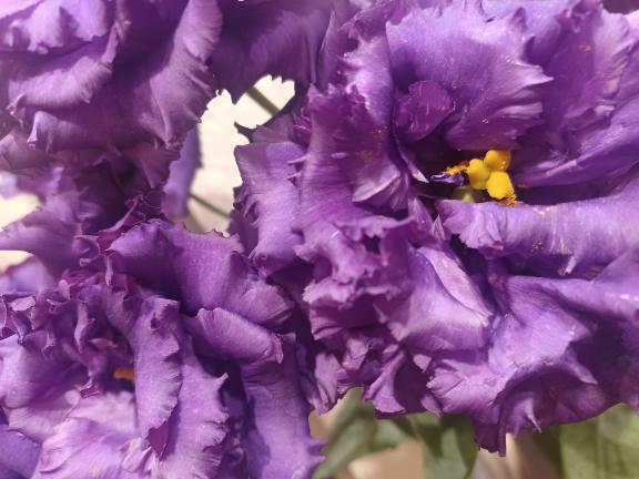 おはようございます☺️✨✨