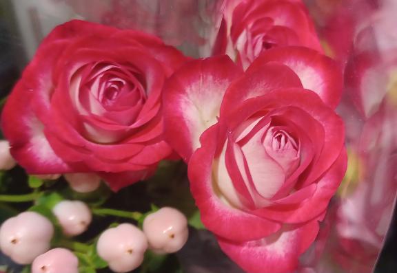 おはようございます☺️✨✨