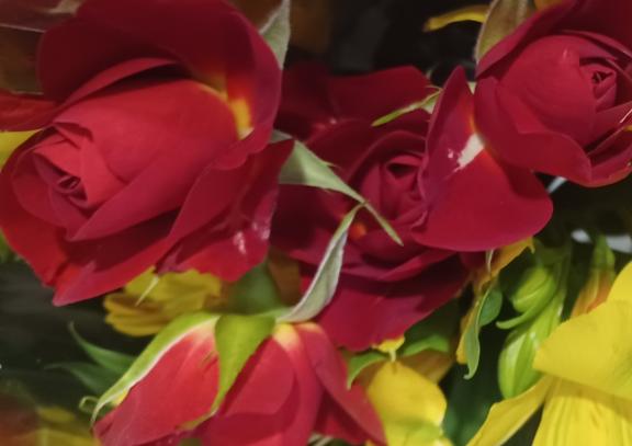 おはようございます☺️✨✨