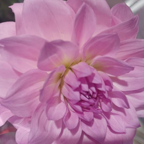 おはようございます☺️✨✨