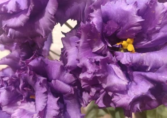 おはようございます☺️✨✨