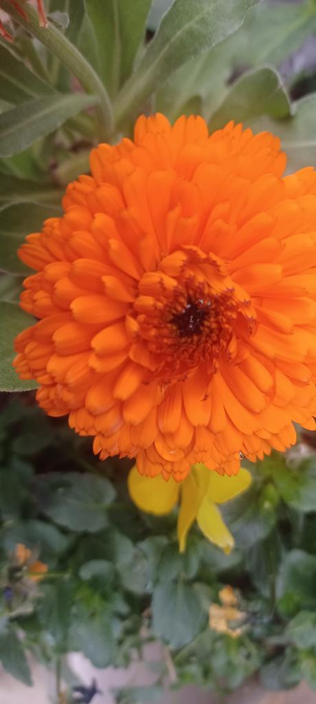 おはようございます☺️✨✨