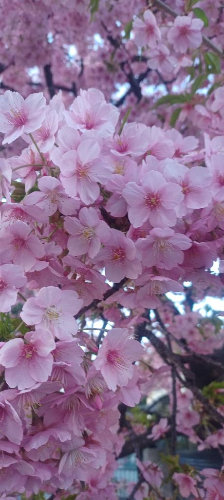 おはようございます☺️✨✨