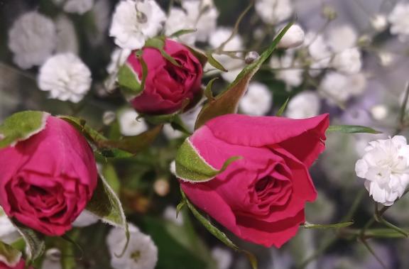 おはようございます☺️✨✨